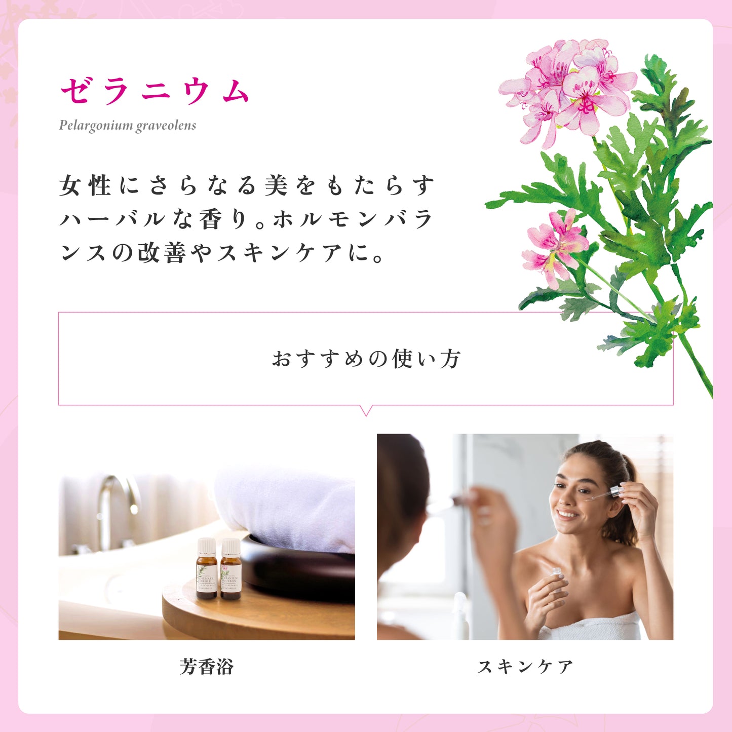 ゼラニウム(ブルボン) エッセンシャルオイル (ナチュレール) 10ml