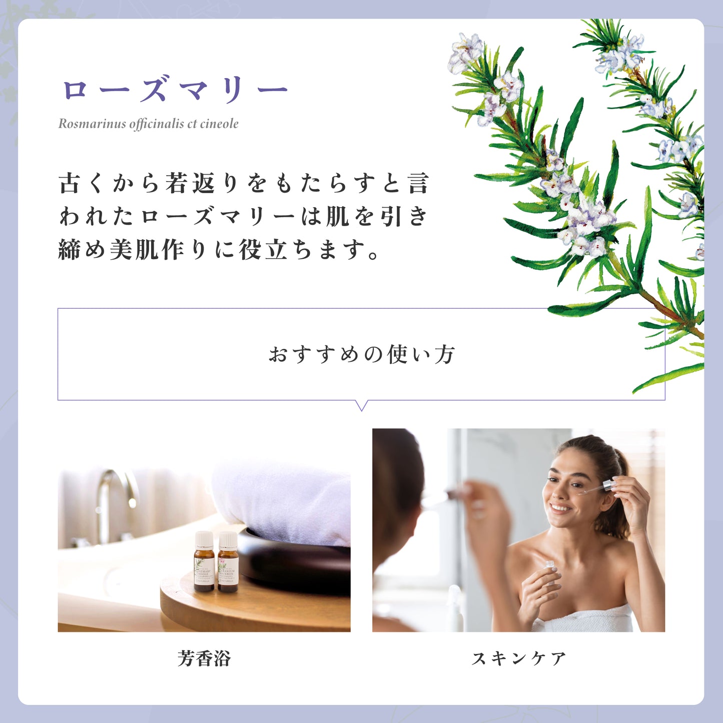 ローズマリー(シネオール) エッセンシャルオイル (ナチュレール) 10ml