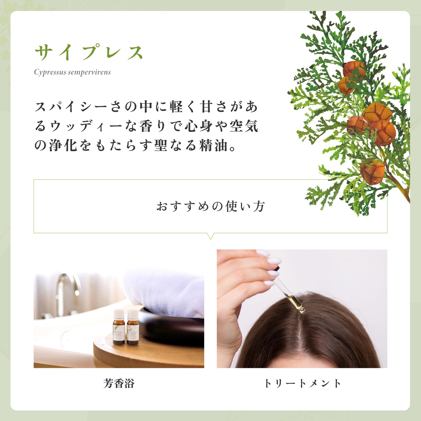 サイプレス エッセンシャルオイル (ナチュレール) 10ml