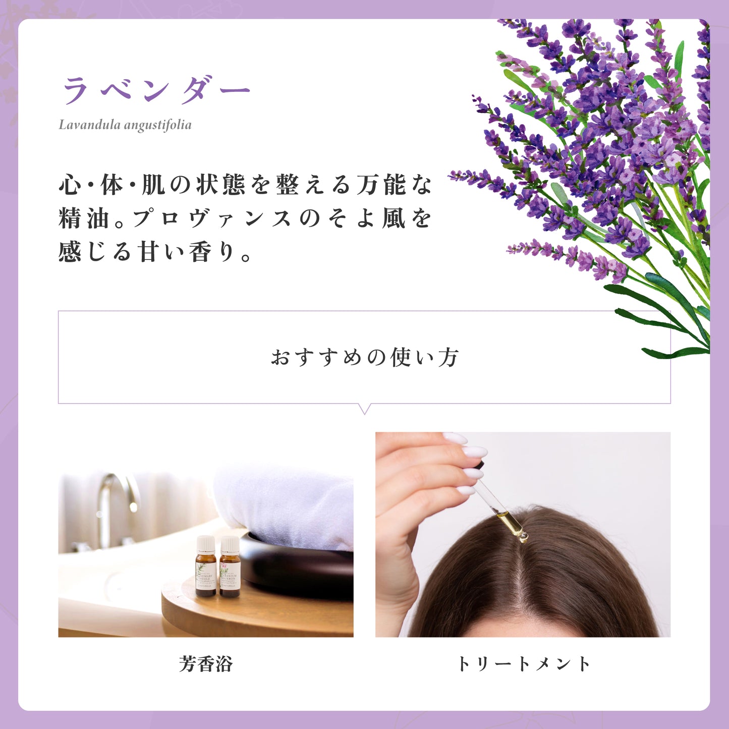 ラベンダー(真正) エッセンシャルオイル (ナチュレール) 10ml