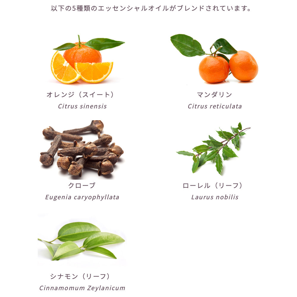 オレンジスパイス EO(シナジーブレンド)10ml